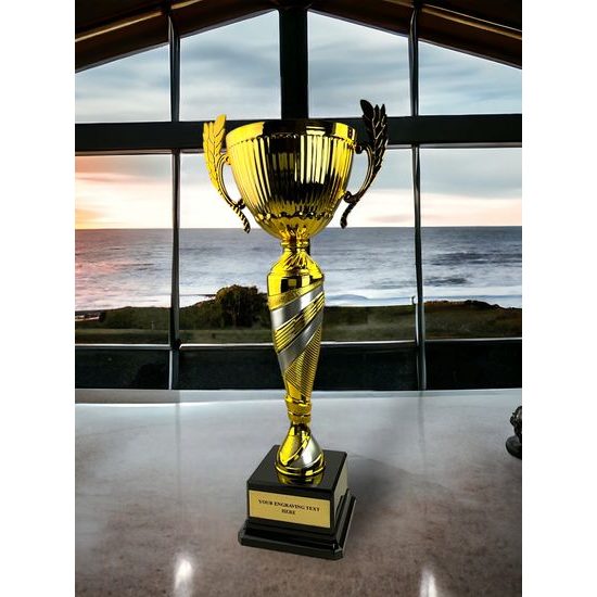 Denver Gold and Silver Cup on a Black PVC Base