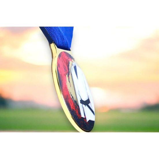 Sacul Martial Arts Color Texture 3D Print Medal