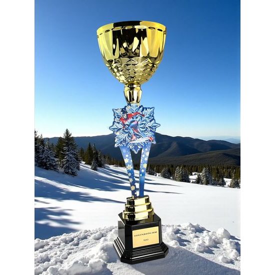Provo Speed Skating Gold Trophy