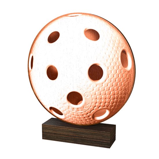 Sierra Classic Floorball Ball Real Wood Trophy