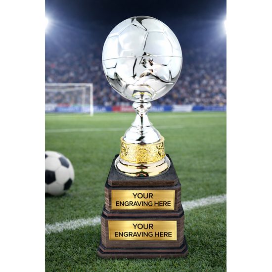 Arena Silver Ball Trophy