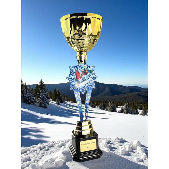 Provo Snowboard Gold Trophy