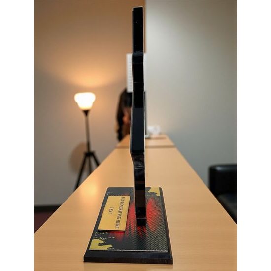 Liano Stainless Steel Cricket Trophy