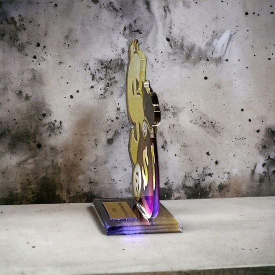 Cannes Printed Acrylic Money Bags Trophy