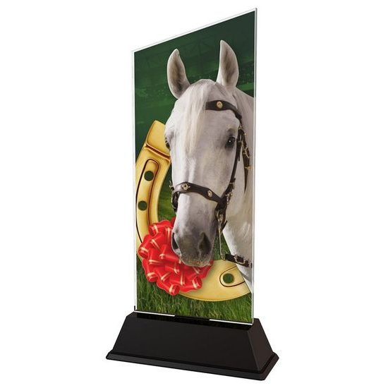 Danbury Horse Riding Acrylic Trophy