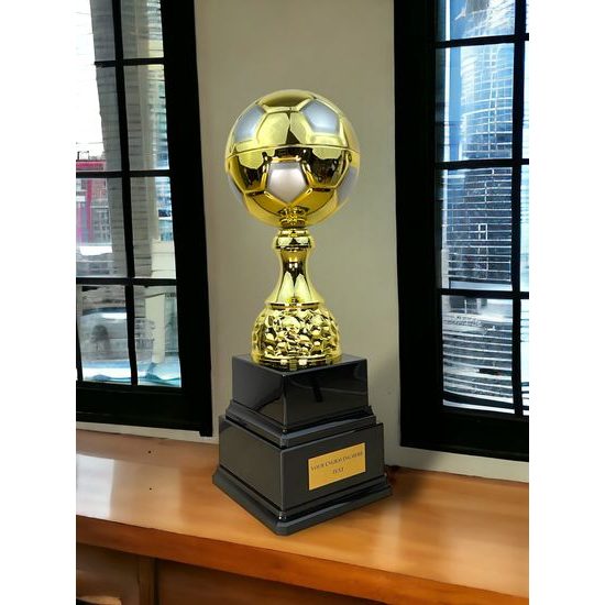 Sealy Tower Gold and Silver Soccer Trophy