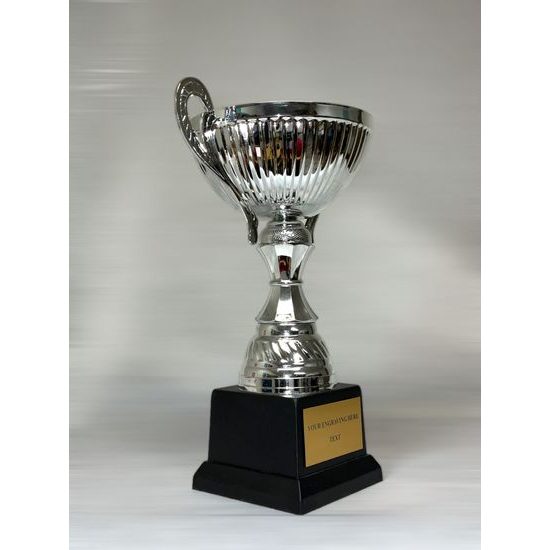 Silver Small Cup