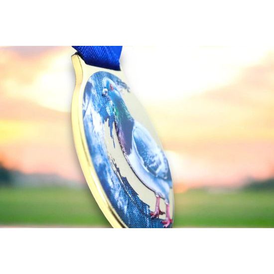 Sacul Pigeon Color Texture 3D Print Medal
