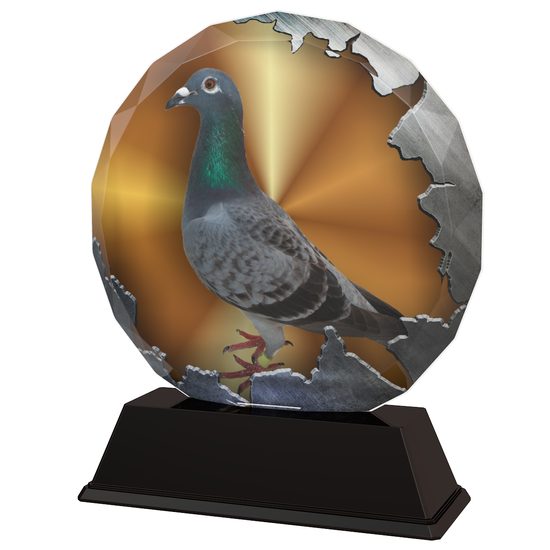 Zodiac Pigeon Racing Trophy