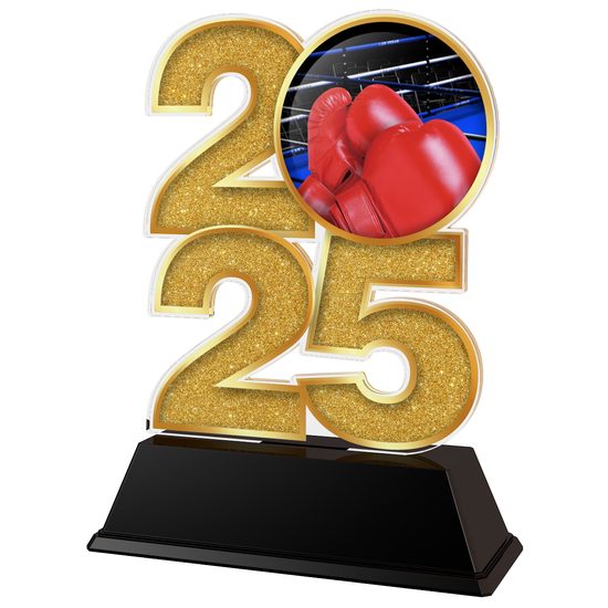 Martial Arts 2025 Trophy