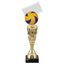 Volleyball Ball Acrylic Top Trophy