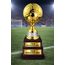 Arena Gold Soccer Trophy