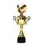 Minot Gold Volleyball Cup