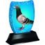 Iceberg Pigeon Trophy
