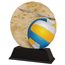 Zodiac Beach Volleyball Trophy