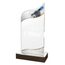 United Acrylic Wood Classic Shooting Trophy