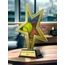 Gold Star Softball Trophy