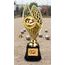 Taft Gold Petanque Trophy