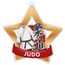 Judo Mini Star Bronze Medal