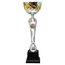 STL2022/02 Silver and Gold Cup
