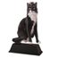 Ostrava Cat Show Trophy