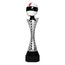 Fontana Motor Racing Trophy