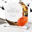 Hutton Clay Pigeon Glass Award
