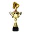 Minot Gold Boxing Cup
