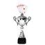 Minot Silver Card Cup