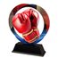 Onyx Stainless Steel Boxing Trophy