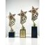 Nova Gold Star Trophy