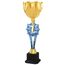 Provo 1st, 2nd and 3rd Gold Trophy