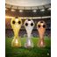 Houston Soccer Trophy