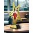 Gold Star Bowling Trophy