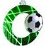 Rio Soccer Classic Medal