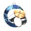 Rio Drums Medal