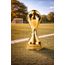 Houston Soccer Trophy