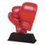 Ostrava Boxing Glove Trophy