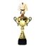 Minot Gold Martial Arts Cup