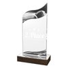 United Acrylic Wood Classic American Football Trophy