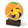 Holt Colour Volleyball Real Wood Trophy