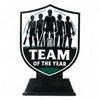Pavilion Team of the Year Cricket Trophy