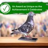 Cannes Pigeon Trophy