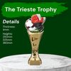 Trieste Football Goalkeeper Gloves Trophy