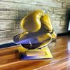 Cannes Classic Boxing Trophy