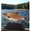 Ostrava Carp Fish Trophy