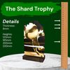 Shard Classic Volleyball Eco Friendly Wooden Trophy