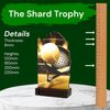 Shard Classic Padel Tennis Eco Friendly Wooden Trophy