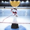 Vancouver Ice Hockey Player Gold Cup Trophy