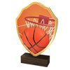 Arden Basketball Real Wood Shield Trophy
